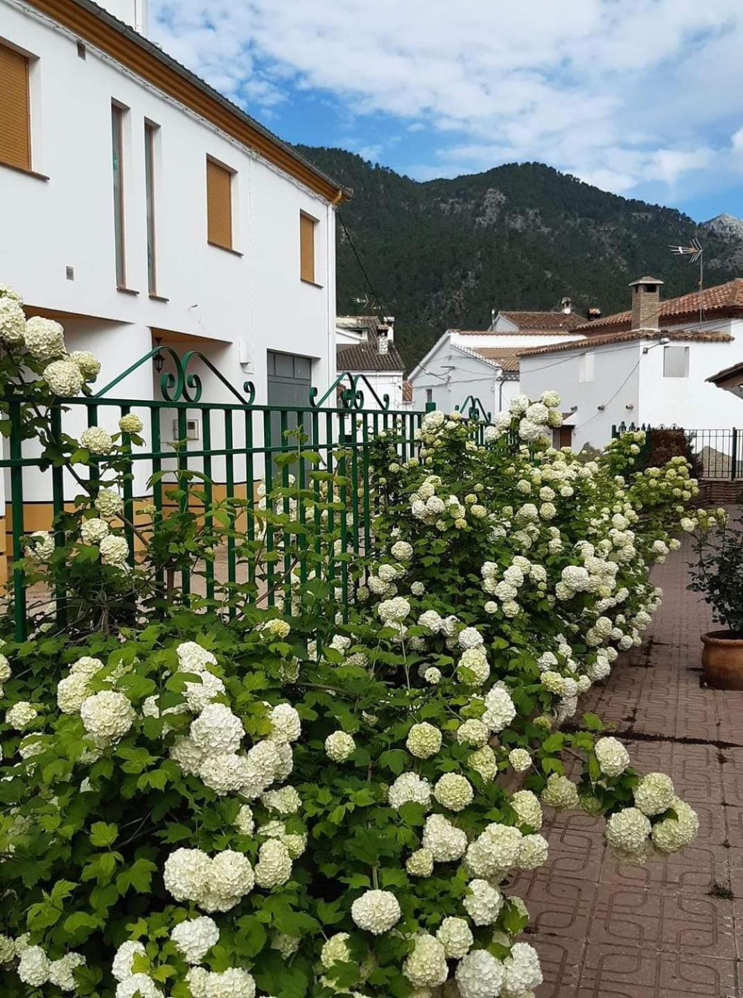 Albergue Ruta Rio Borosa Coto Rios Exteriör bild